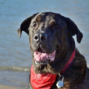 Meet your Posher, Jordan